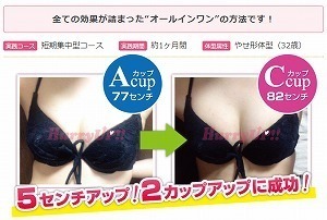 ハリーアップの胸のサイズアップ方法はサプリしかない？: 山下ゆり